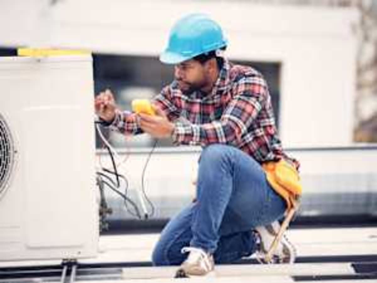 New Frog Species Named After Ecuador's First Gold Medalist - Image 5