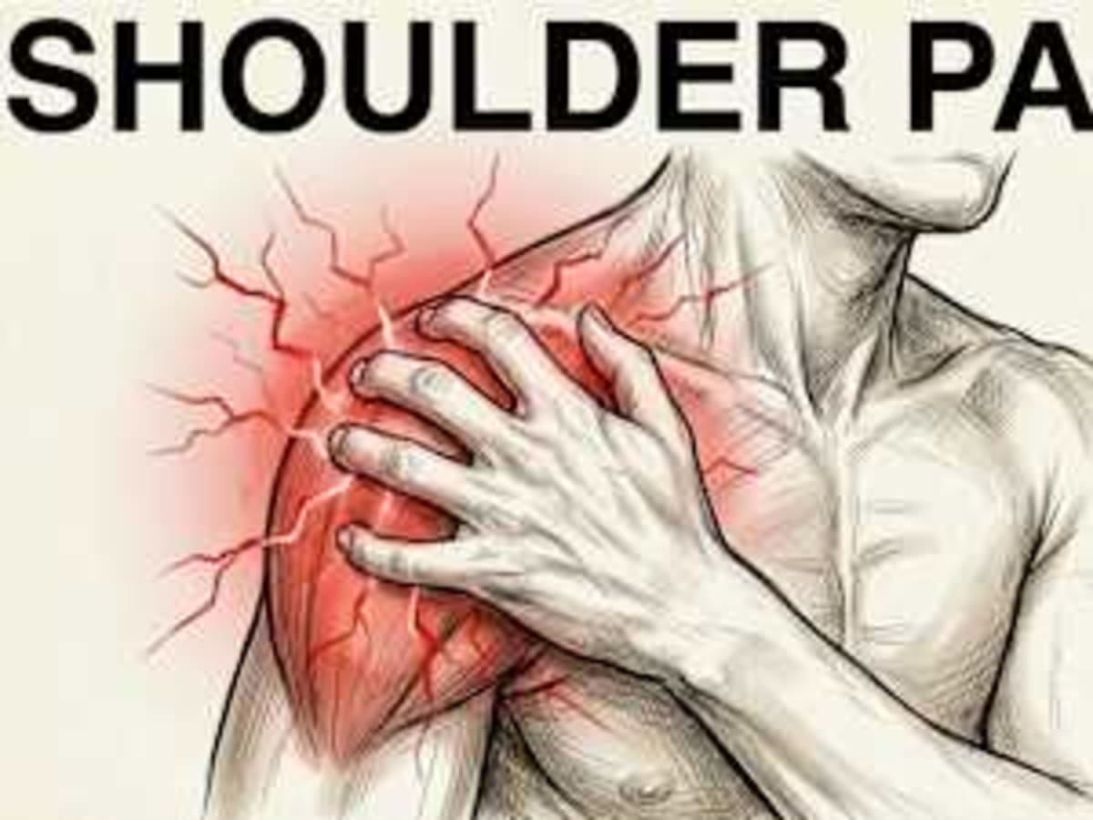 Rescued Circus Bear Retta Finds Freedom in Armenia - Image 5