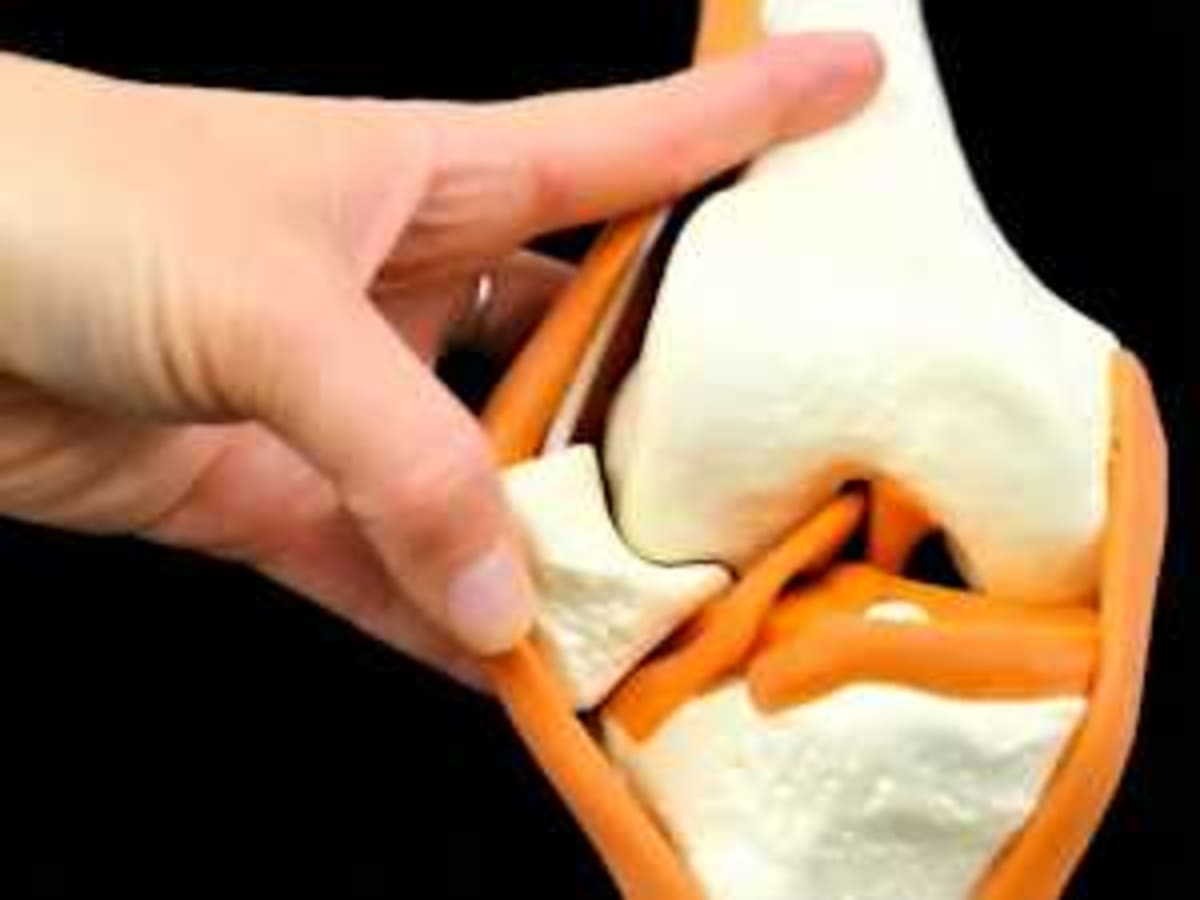 Connellsville Cleanup Unites 6 Groups for City Parks - Image 4