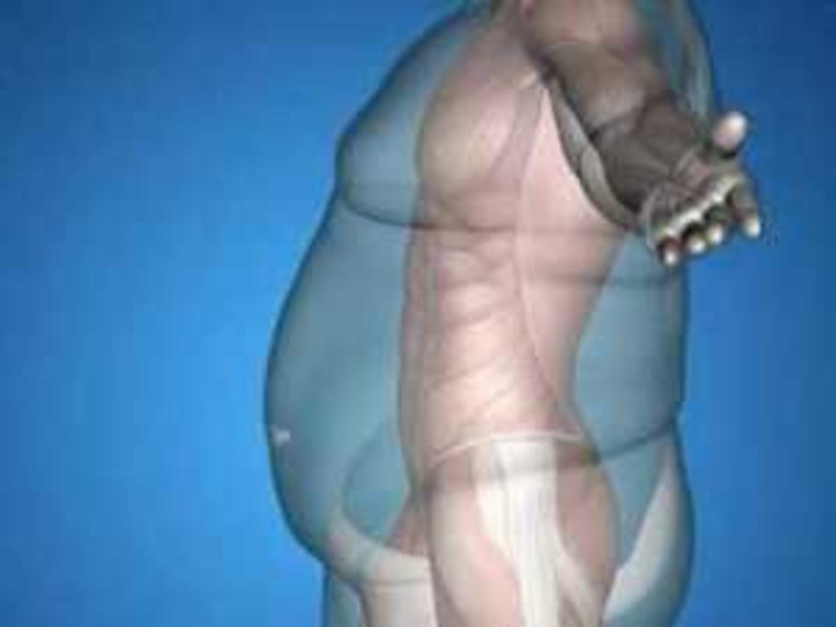 Scientists Discover How to Block Flu Before It Enters Cells - Image 4