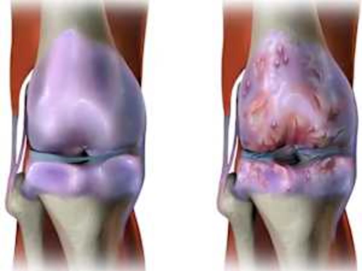Farmers Find Climate Solution Hidden in Healthy Soil - Image 5