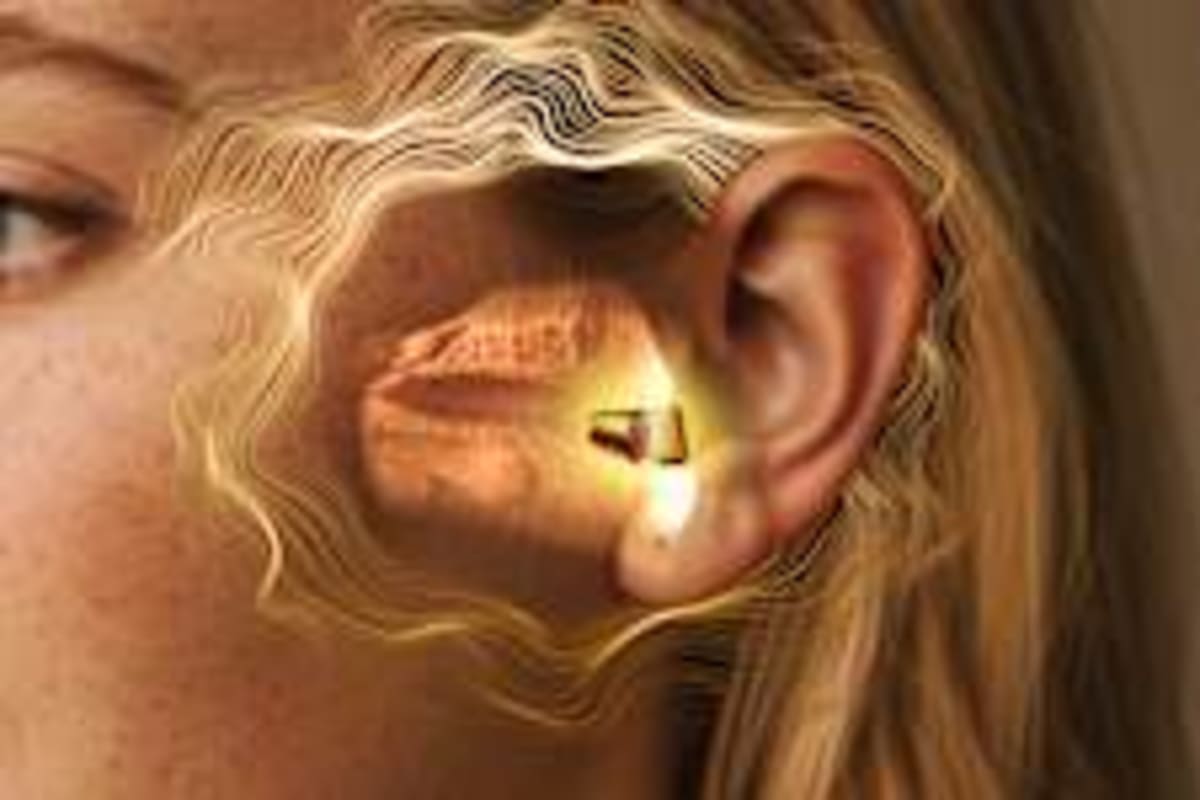 Teacher's Pub Karaoke Goes Viral, Lands TV Audition - Image 2