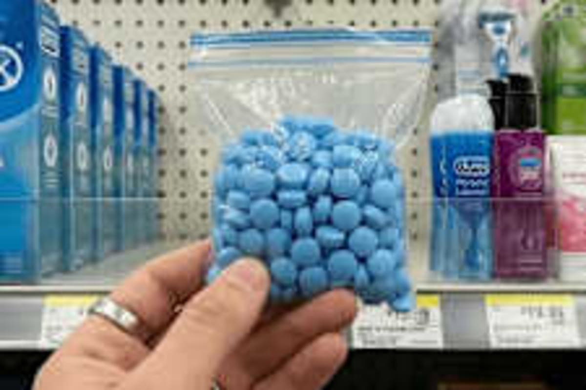 India's Cheetah Cubs Hit 33 After Historic Reintroduction - Image 3