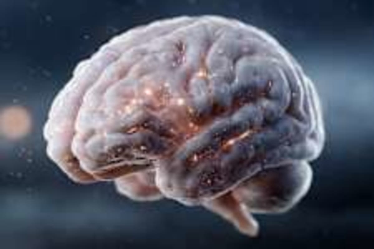 Maryland Bans Stores From Charging More Based on Your Data - Image 4