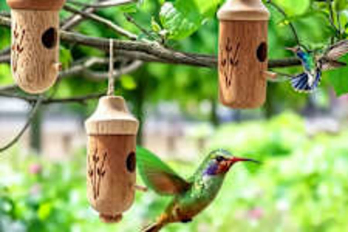 Teacher's Pub Karaoke Goes Viral, Lands TV Audition - Image 4