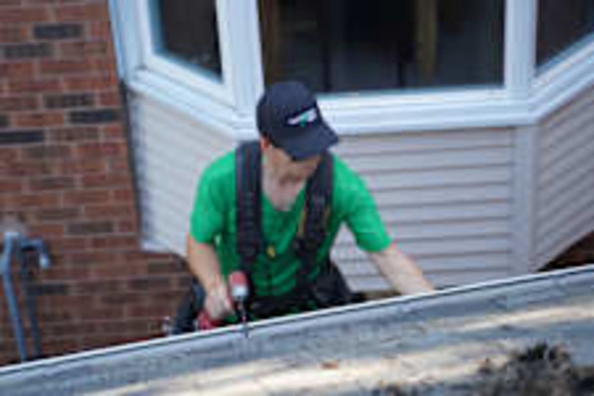 4th Graders Raise Funds to Save Bald Eagle Family's Home - Image 3