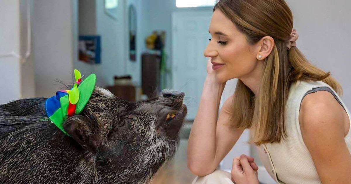 Mina Alali smiling with Merlin, a miniature potbelly pig wearing a colorful propeller hat