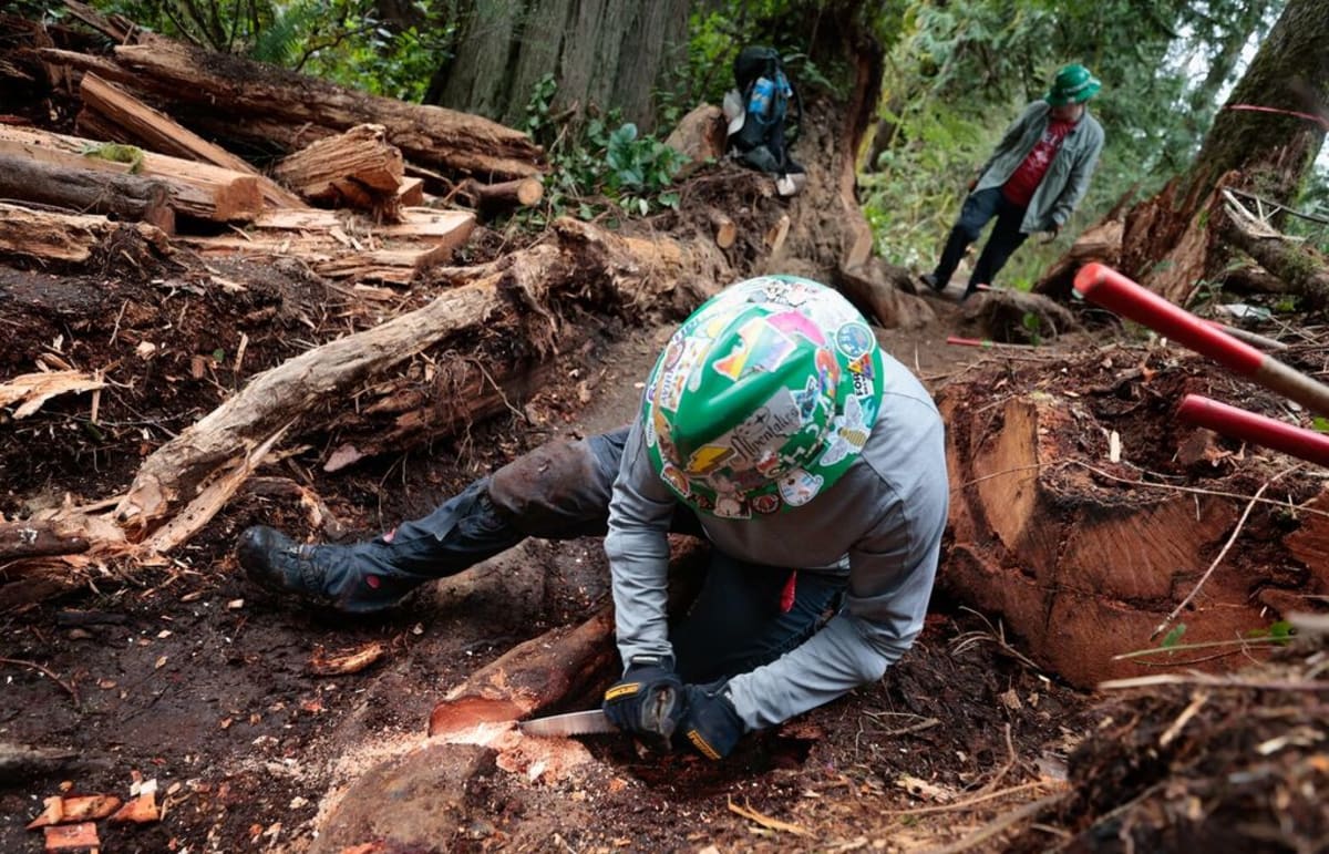 3,500 Volunteers Build Trails Across Washington State - Image 2