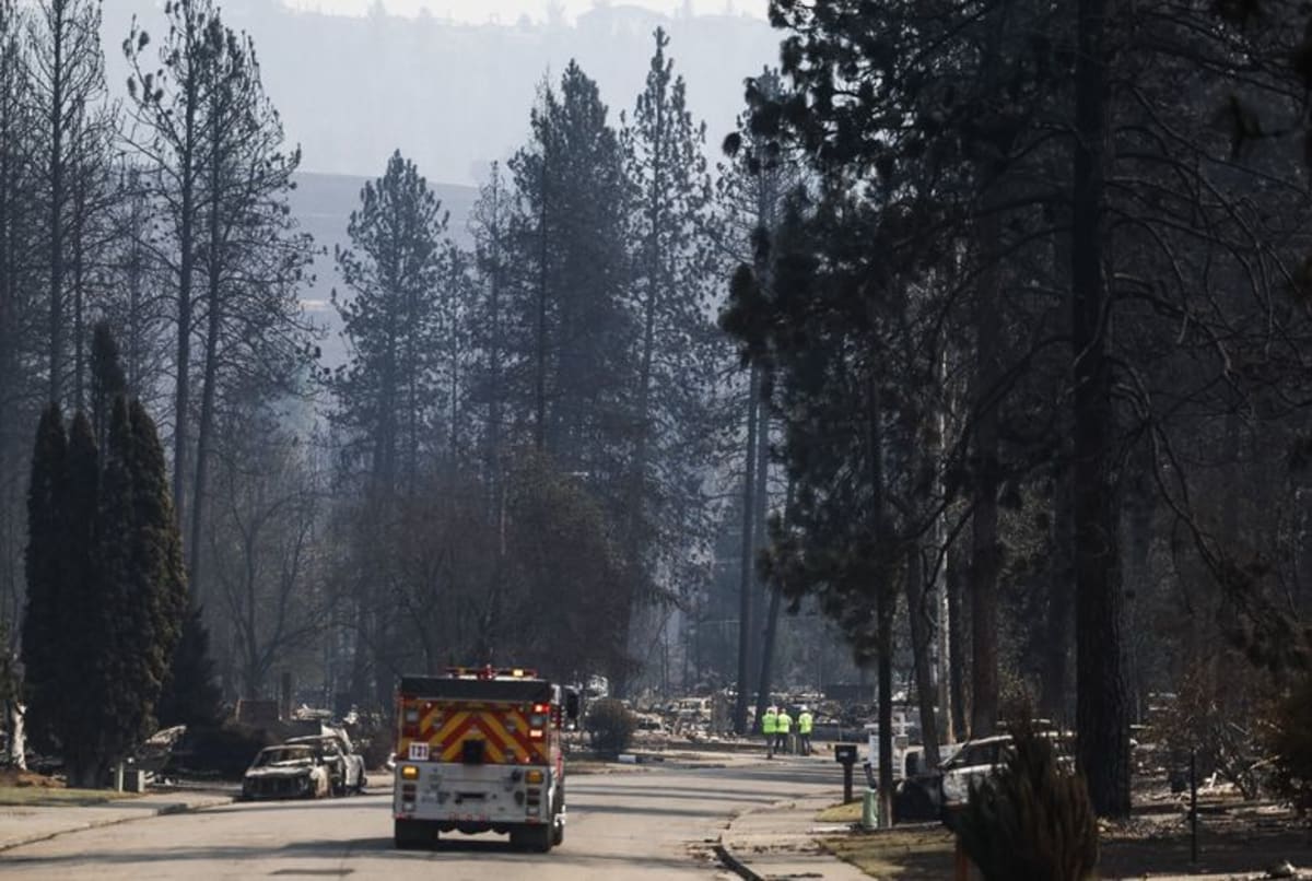 Washington Protects Wildfire Donors From Charity Scams - Image 3