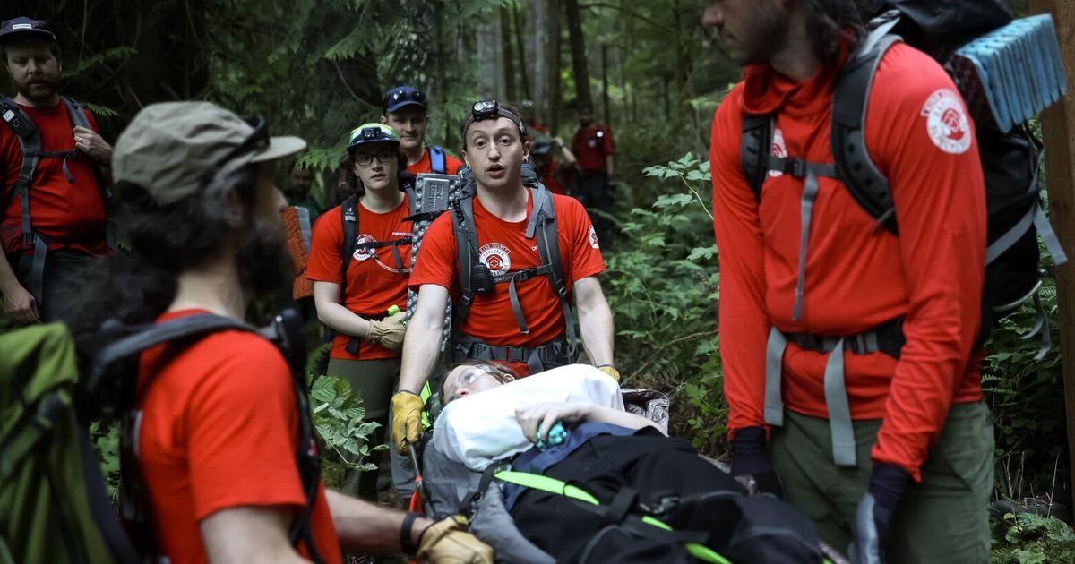 Volunteer search and rescue team members with headlamps hiking through forest at night
