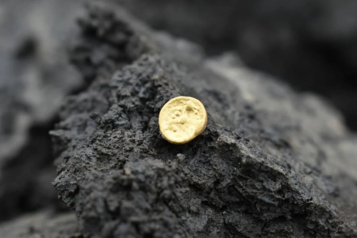 Highway Crew Uncovers 2,200-Year-Old Celtic Trade Hub - Image 4