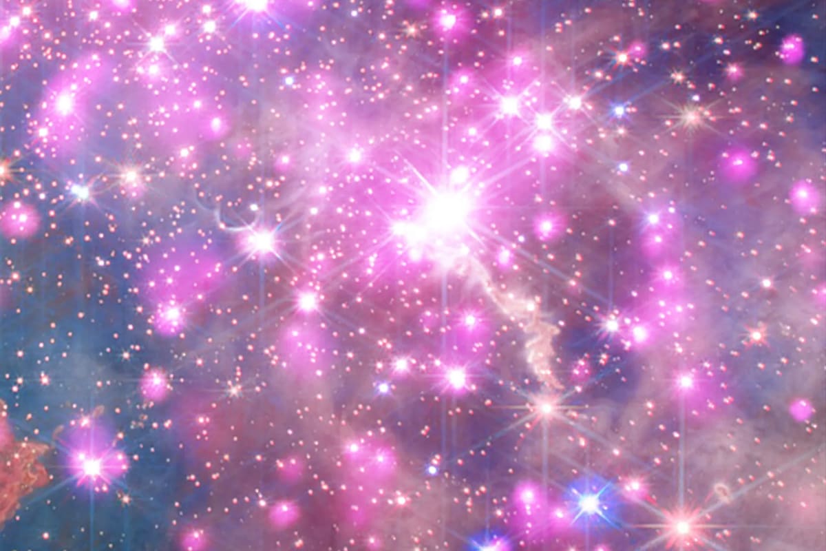 Webb and Chandra Reveal Pink Star Nursery 20,000 Light-Years Away - Image 2