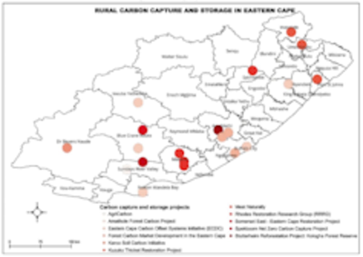 South African Carbon Projects Create 27,600 Green Jobs - Image 3