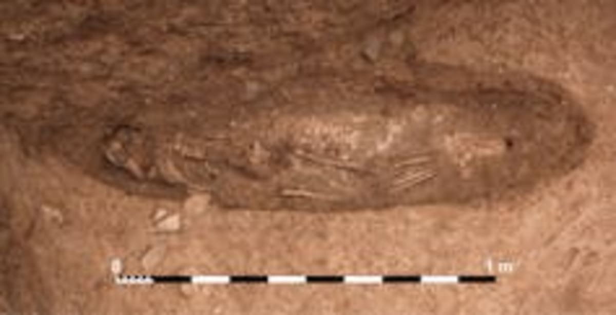 Morocco Site Reveals Africa's Oldest Fortress at 4,000 Years - Image 4