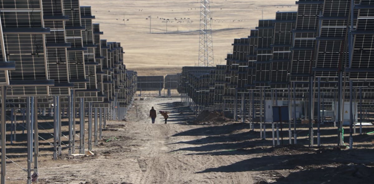 Tibetan Herders Adapt as Solar Farms Transform Ancient Land