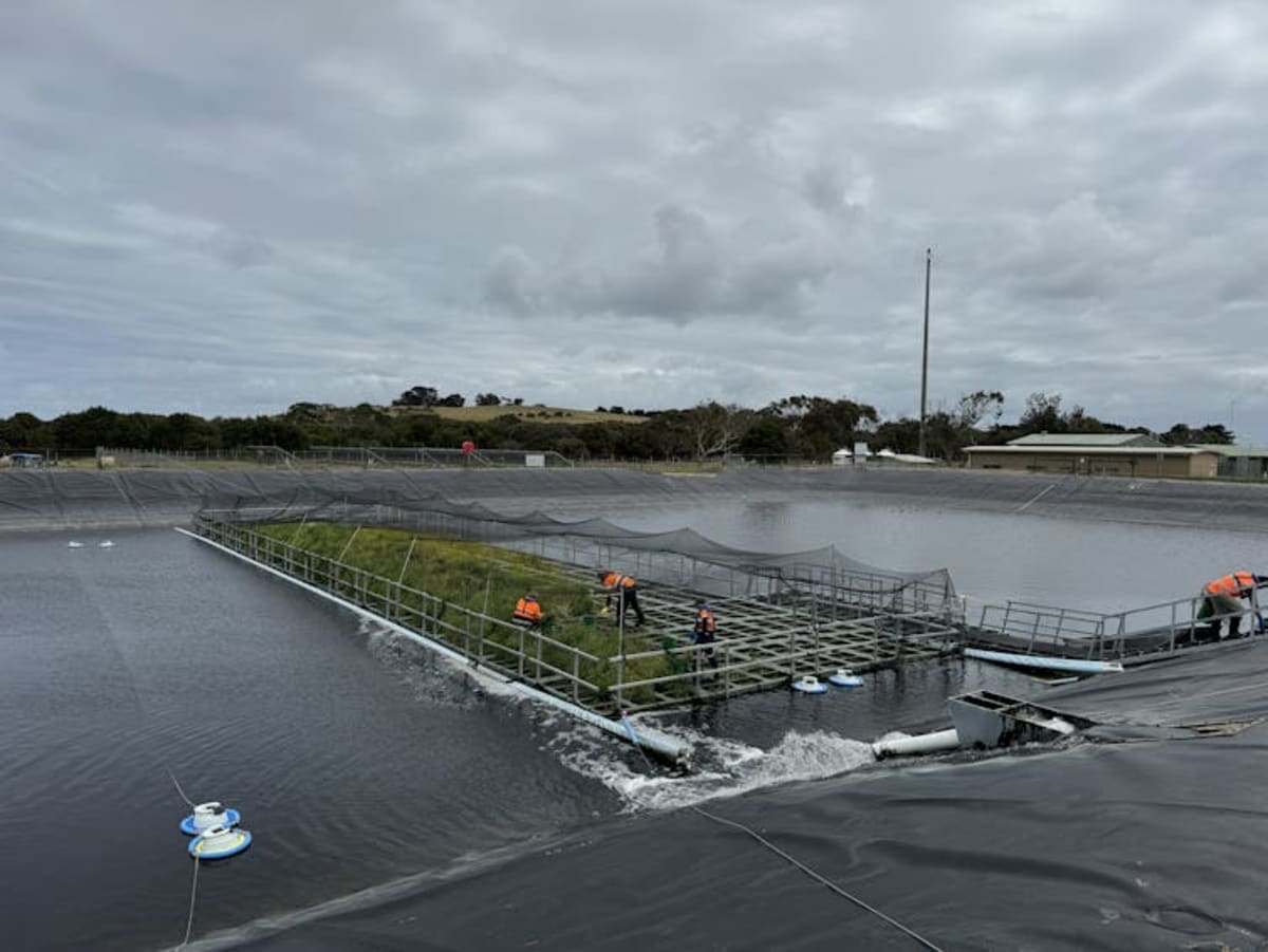 Floating Gardens Cut Wastewater Emissions by Nearly a Third - Image 2