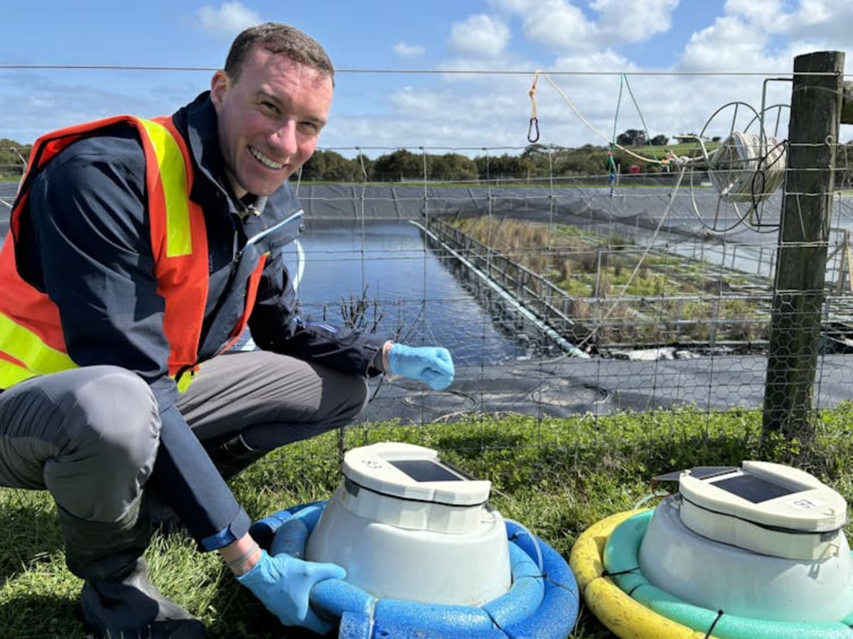 Floating Gardens Cut Wastewater Emissions by Nearly a Third - Image 3