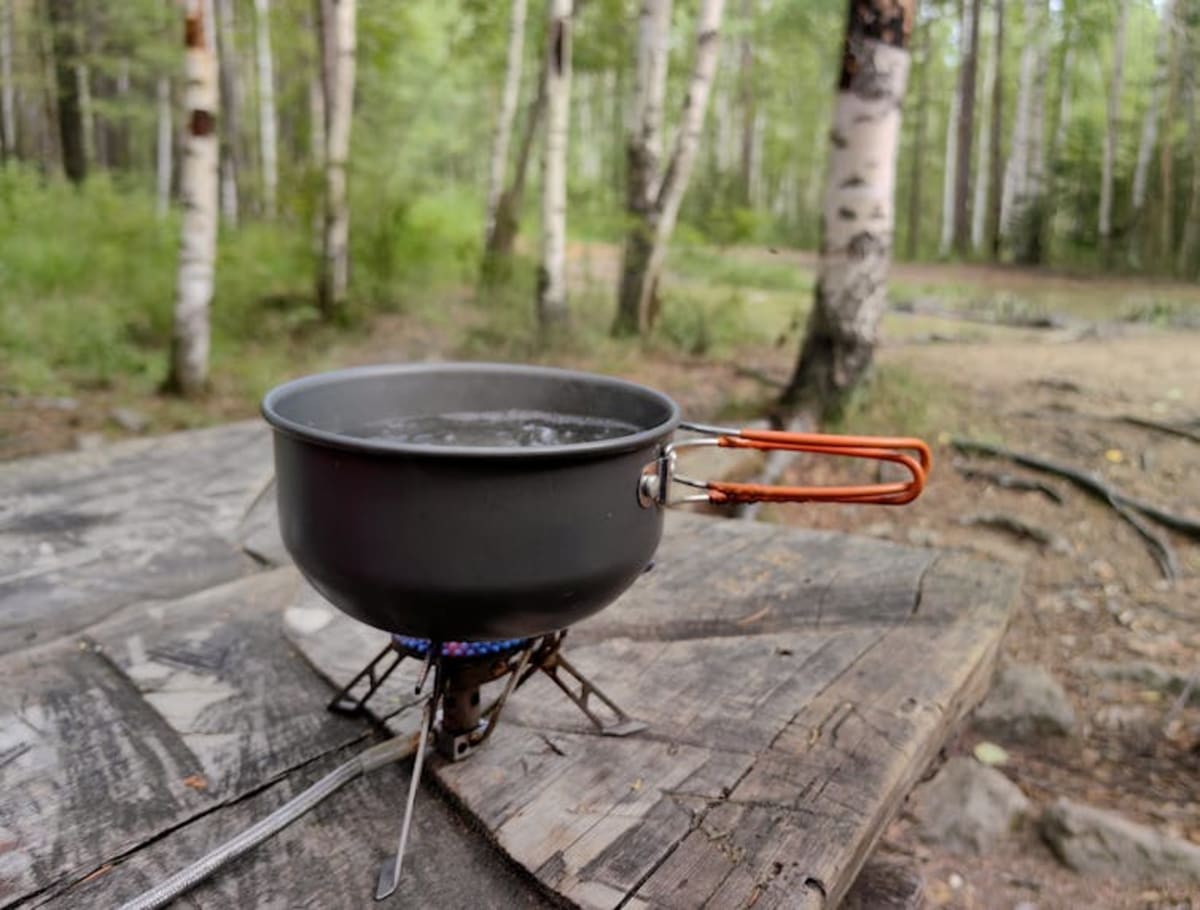 Oregon Trail Game Teaches Real Outdoor Survival Skills - Image 2