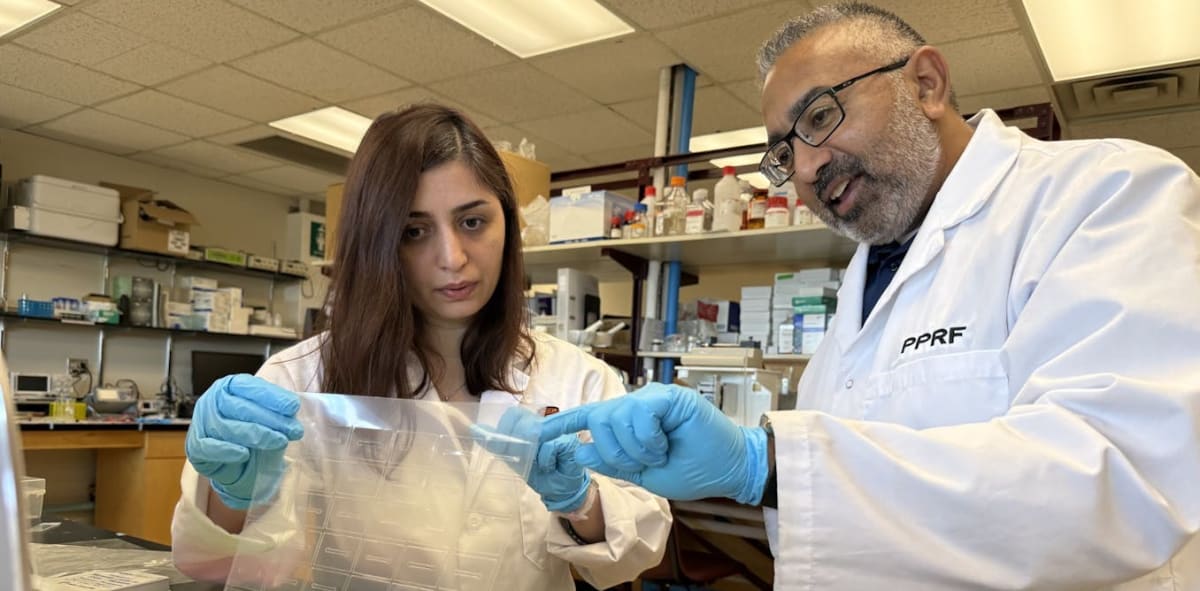 Two researchers examining miniature microfluidic cancer testing chip devices at University of Calgary