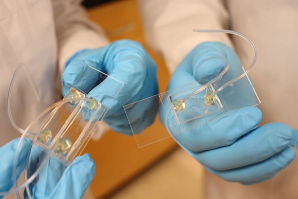 Scientists Build $10 Cancer Testing Chips for Kids - Image 2