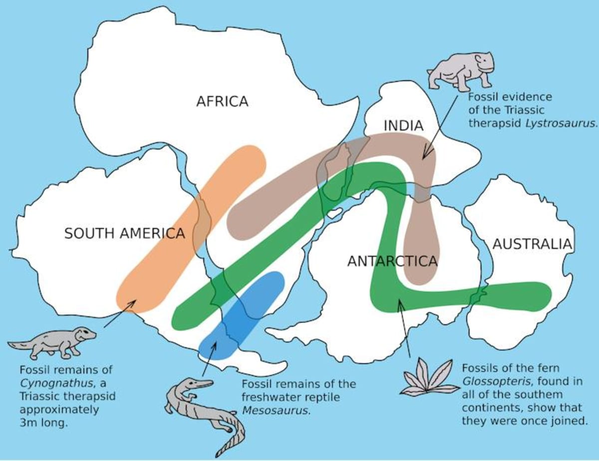Scientists Prove Gondwana Kicked Off Life on Earth - Image 2