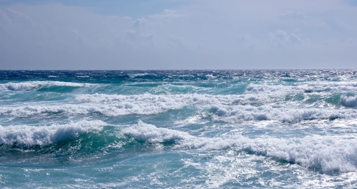 Norway's Seafood Industry Helps Remove 80 Tons of Plastic - Image 4