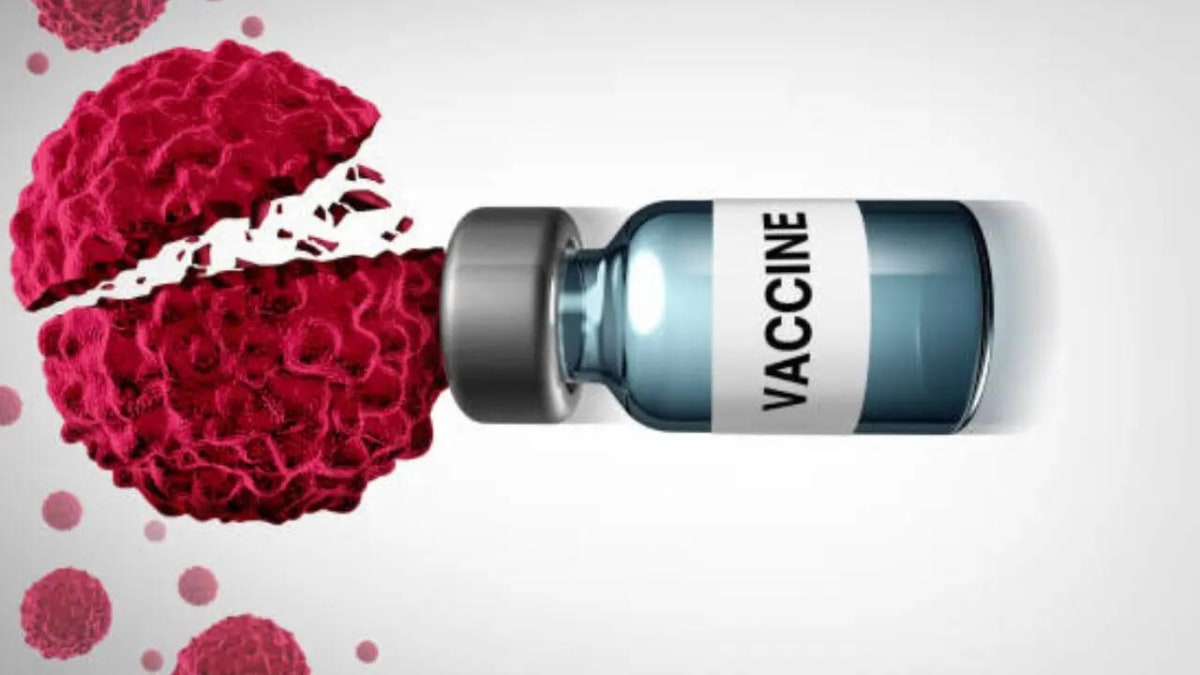 Pancreatic Cancer Vaccine: Patients Survive 6+ Years - Image 4