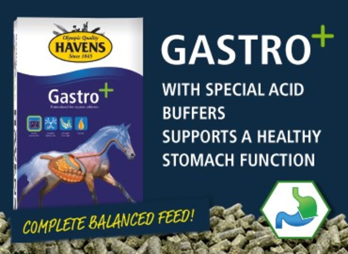 Kent Farrington Wins 2nd Straight at World Cup Finals - Image 3