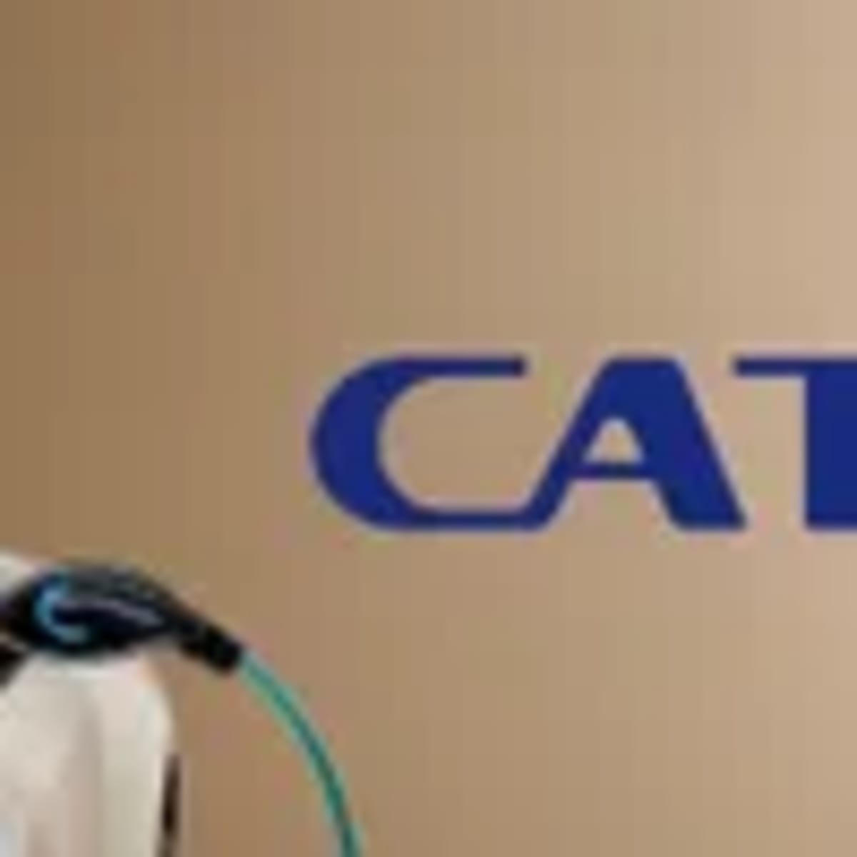India Startup Cracks Iron-Air Battery That Charges in 6 Hours - Image 3