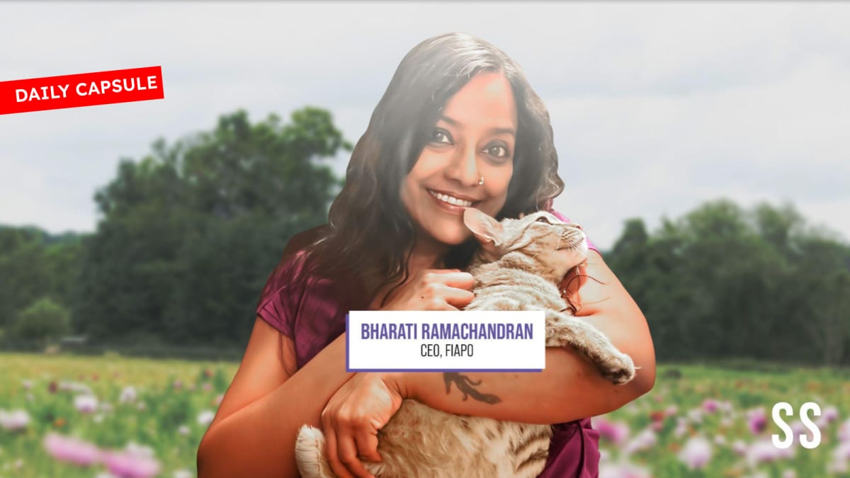 AI Grows Strawberries Year-Round in 113°F Heat - Image 5