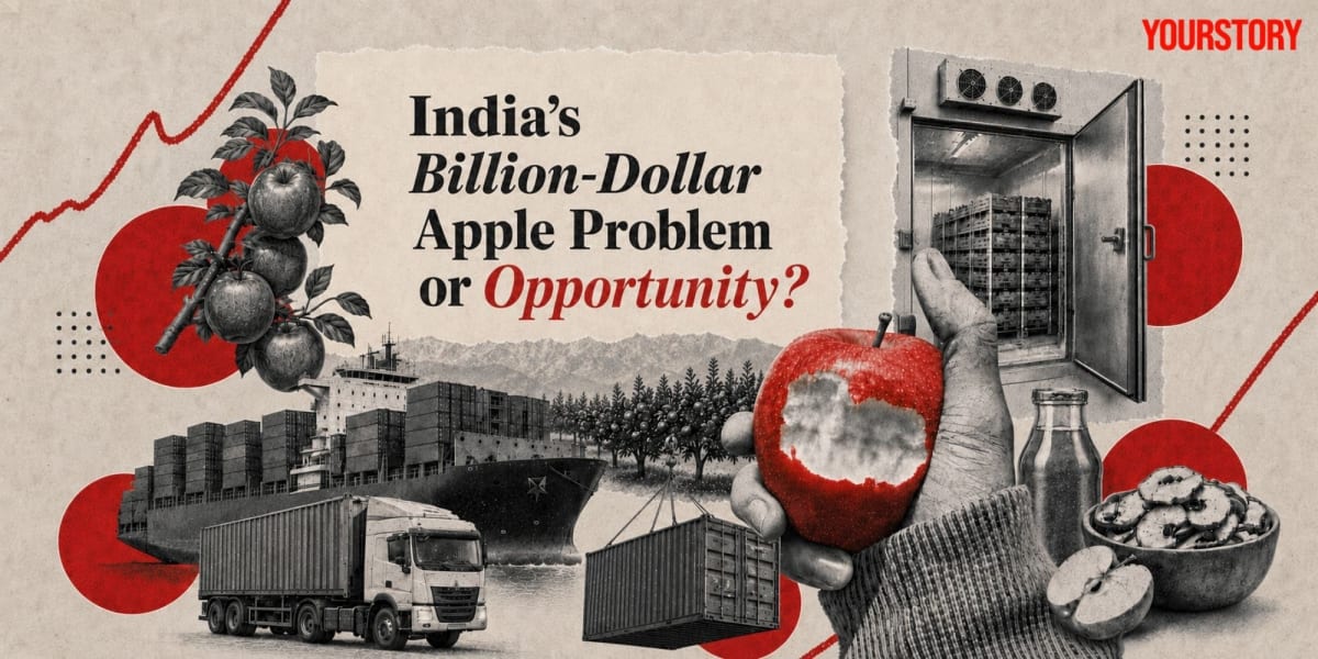 Rows of fresh red apples in modern cold storage facility in Kashmir Valley, India