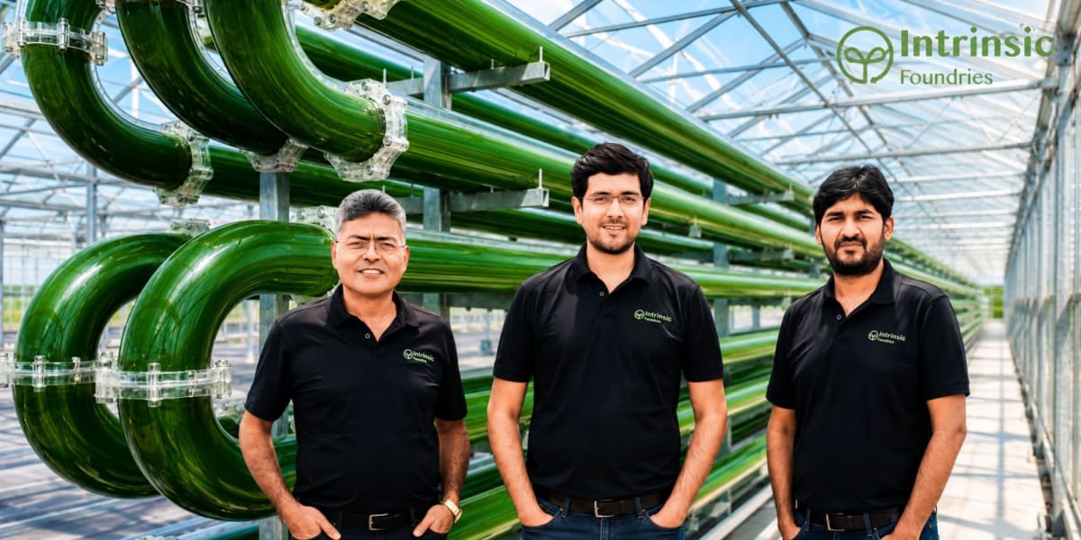 Microalgae growing in photobioreactor tanks capturing carbon dioxide from industrial emissions in India