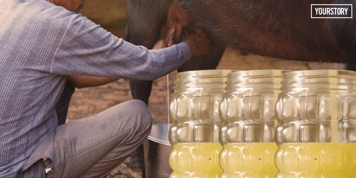 Fresh milk being processed into dairy products at rural Indian village facility