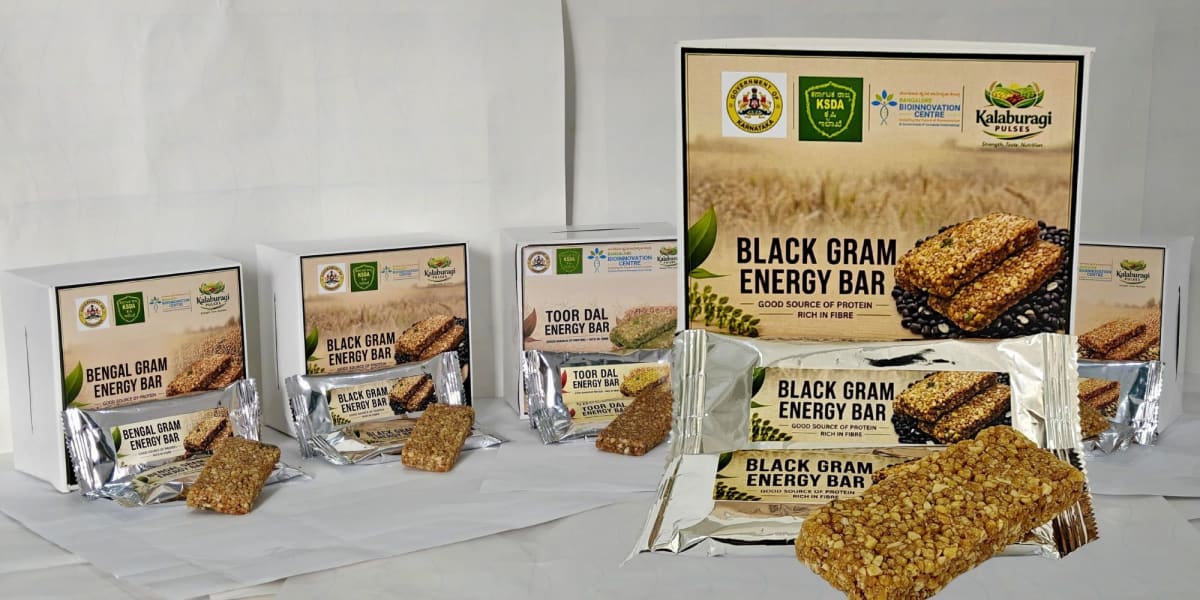 Assorted pulse-based energy bars made from locally grown Indian legumes and natural ingredients
