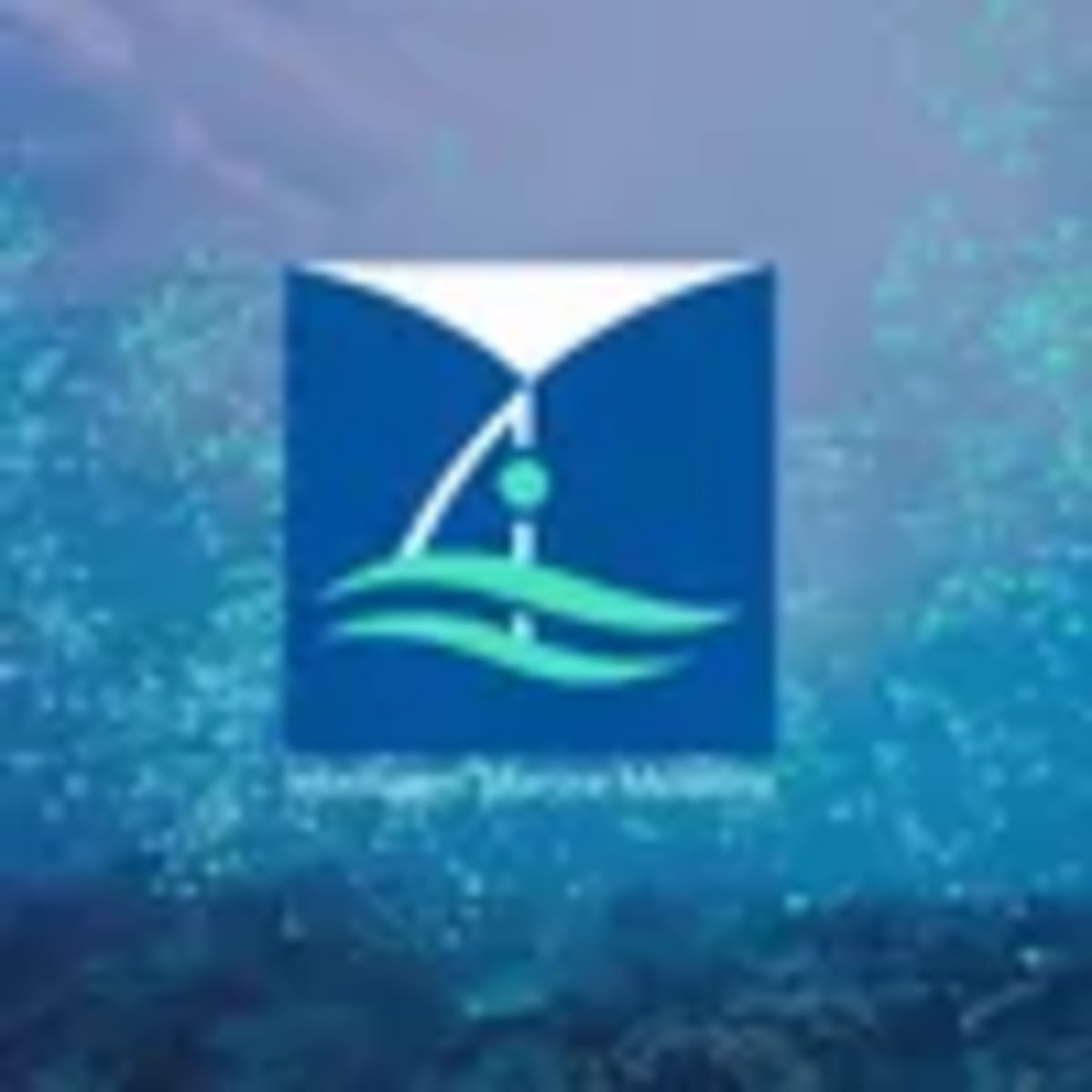 Indian Robots Now Inspect Ship Hulls So Humans Don't Have To - Image 3