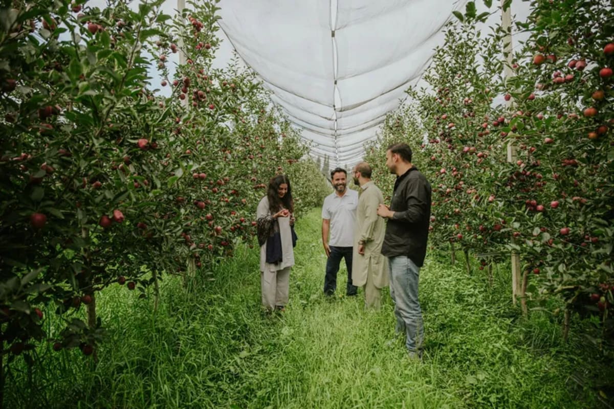 Kashmir Startup Helps 15,000 Apple Farmers Boost Harvests - Image 3