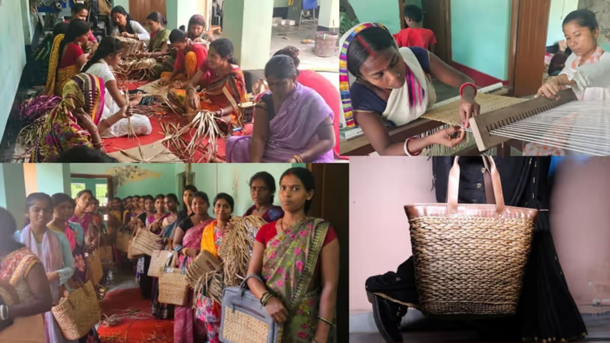 Bihar Man Trains 1,700 Women After Losing 42-Store Brand - Image 3