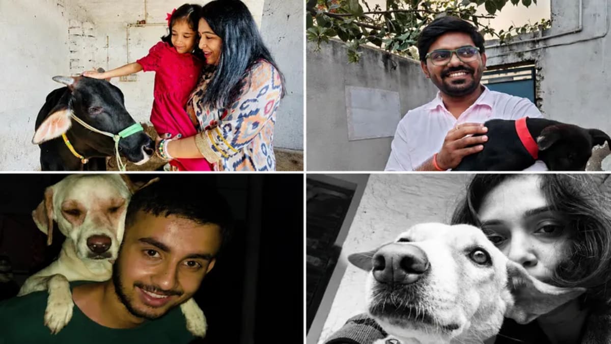 Woman Rescues 2,000+ Animals After Lockdown Changed Patna - Image 4