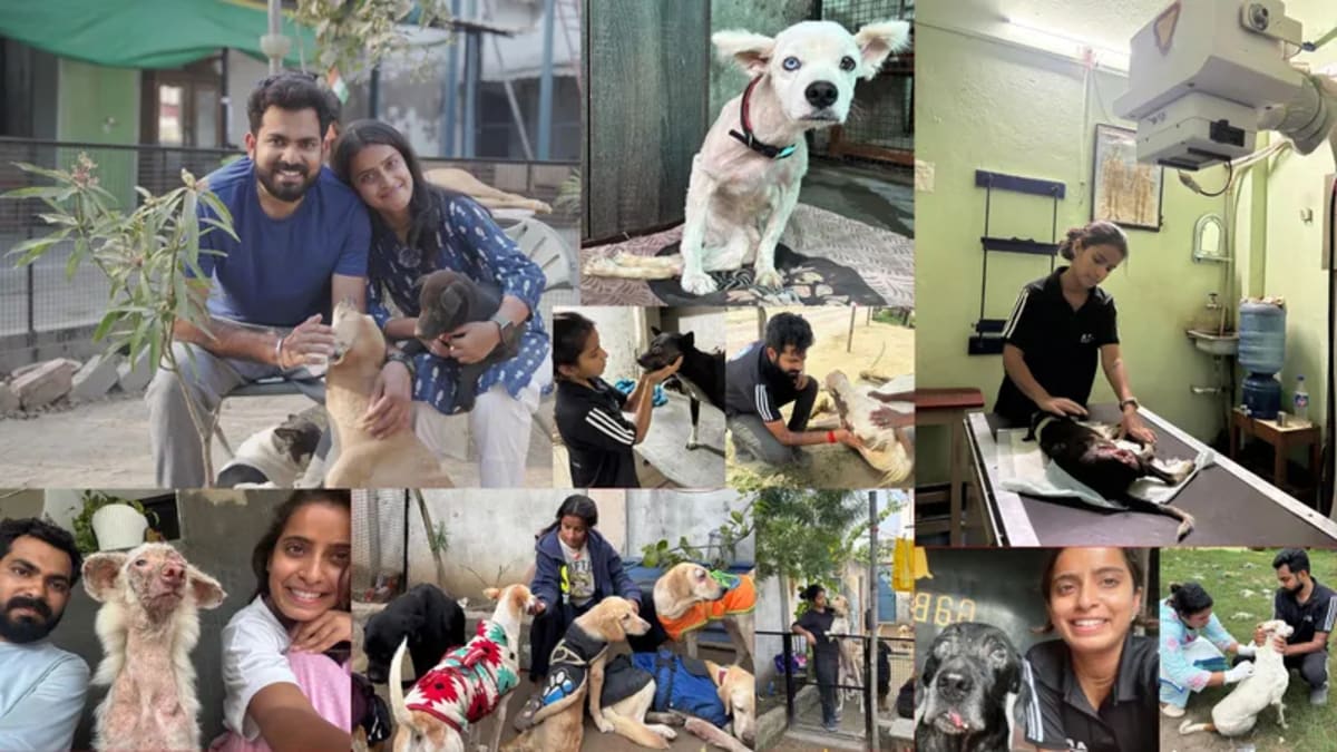 Woman Rescues 2,000+ Animals After Lockdown Changed Patna - Image 5