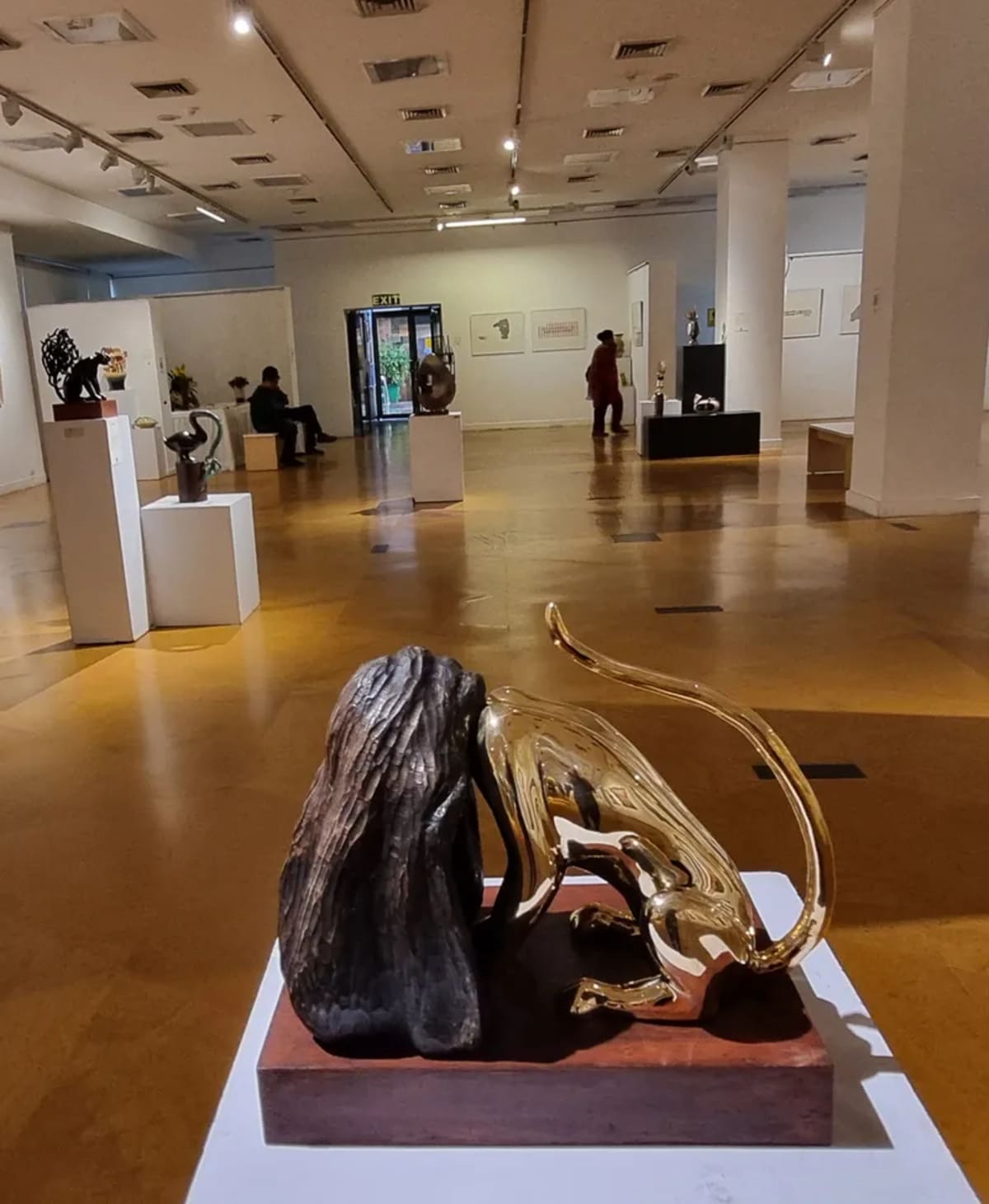 Delhi Art Show Unites 12 Voices in Creative Celebration - Image 3