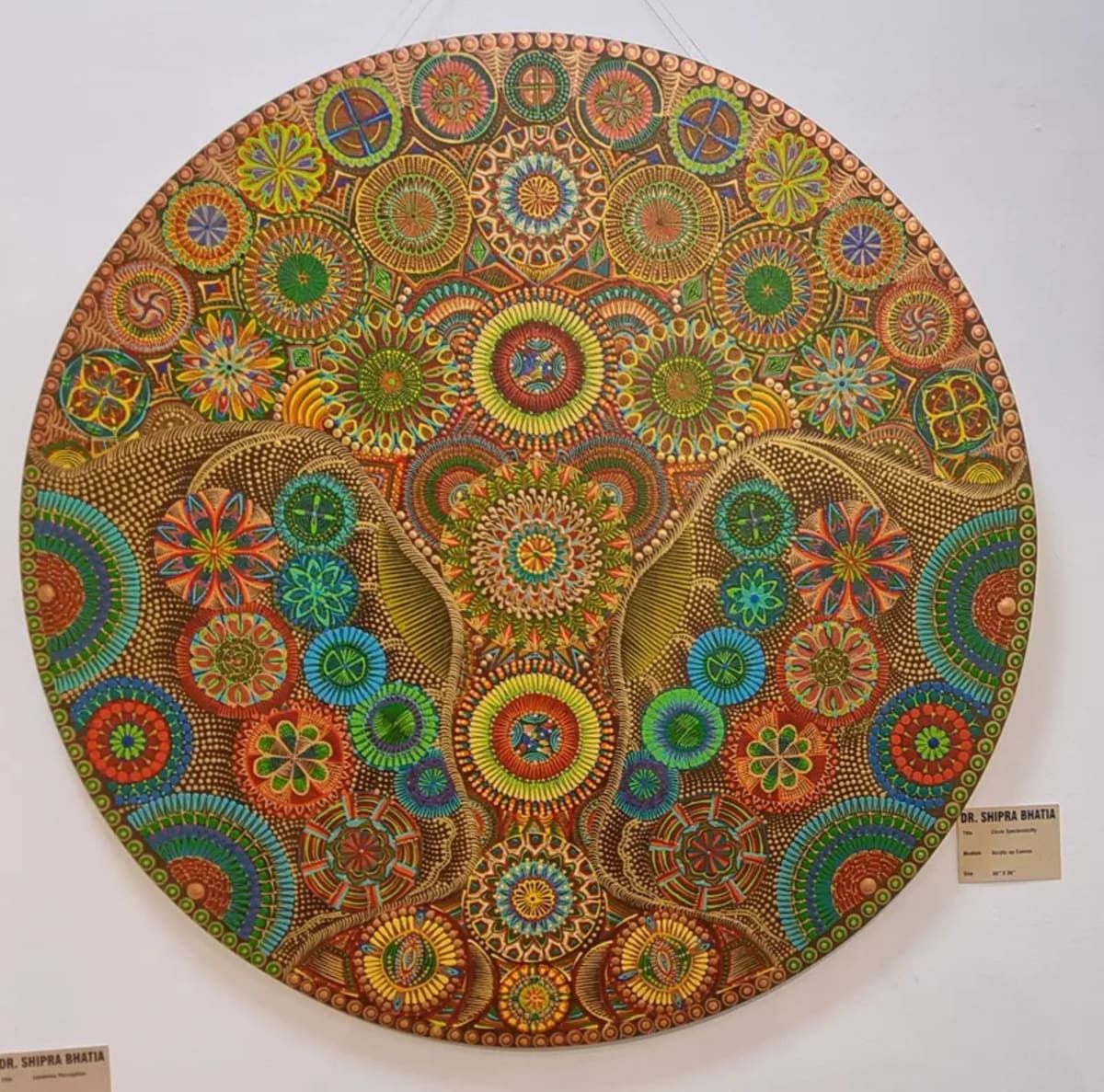 Curator Brings Art to 100+ Public Spaces Across India - Image 4