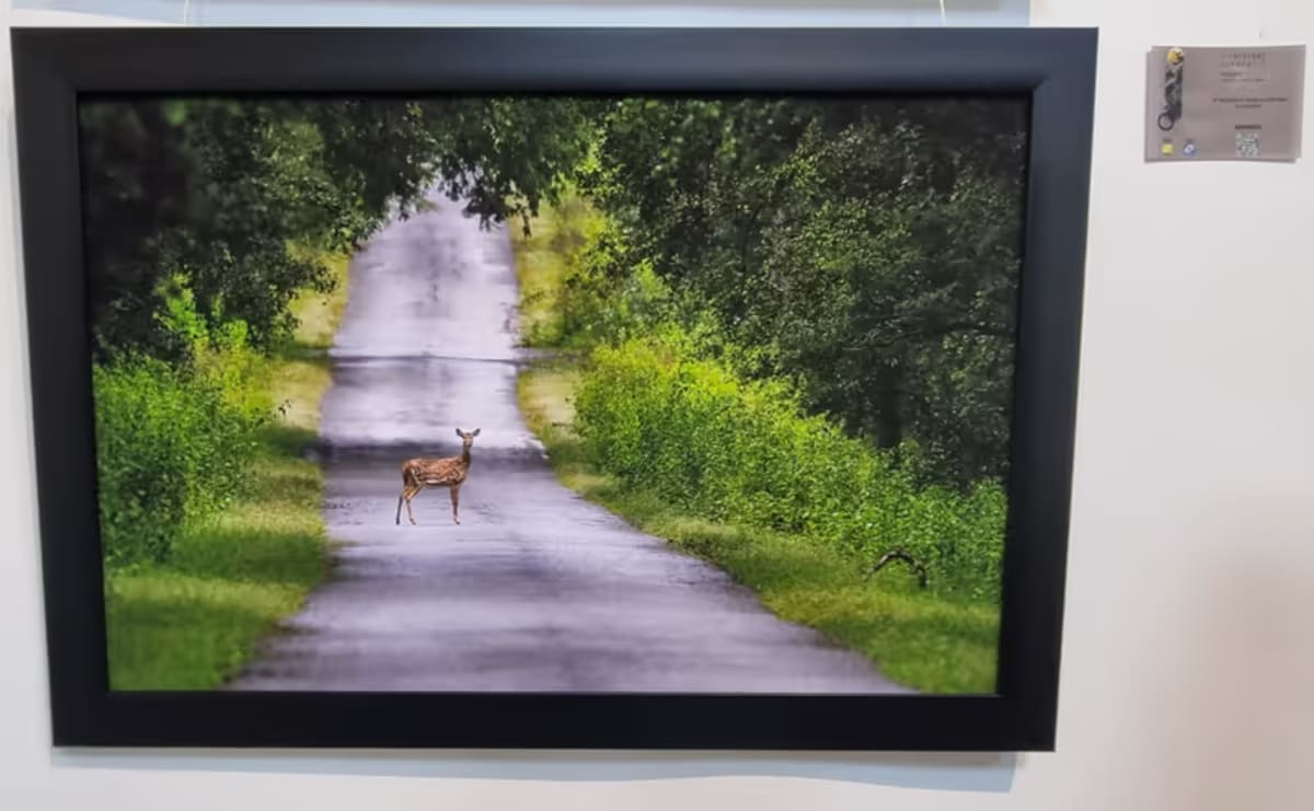 Bengaluru Photographers Unite 1,500 for Wildlife Exhibit - Image 4