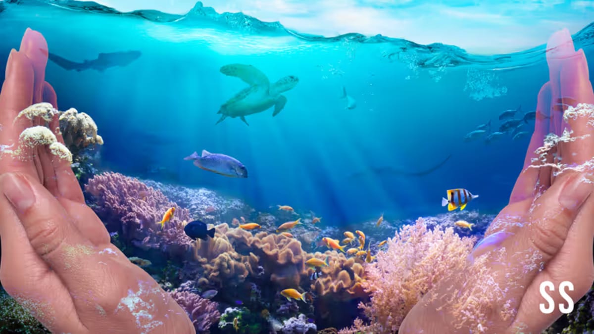 Meet India's New Ocean Champions Saving Marine Life - Image 4