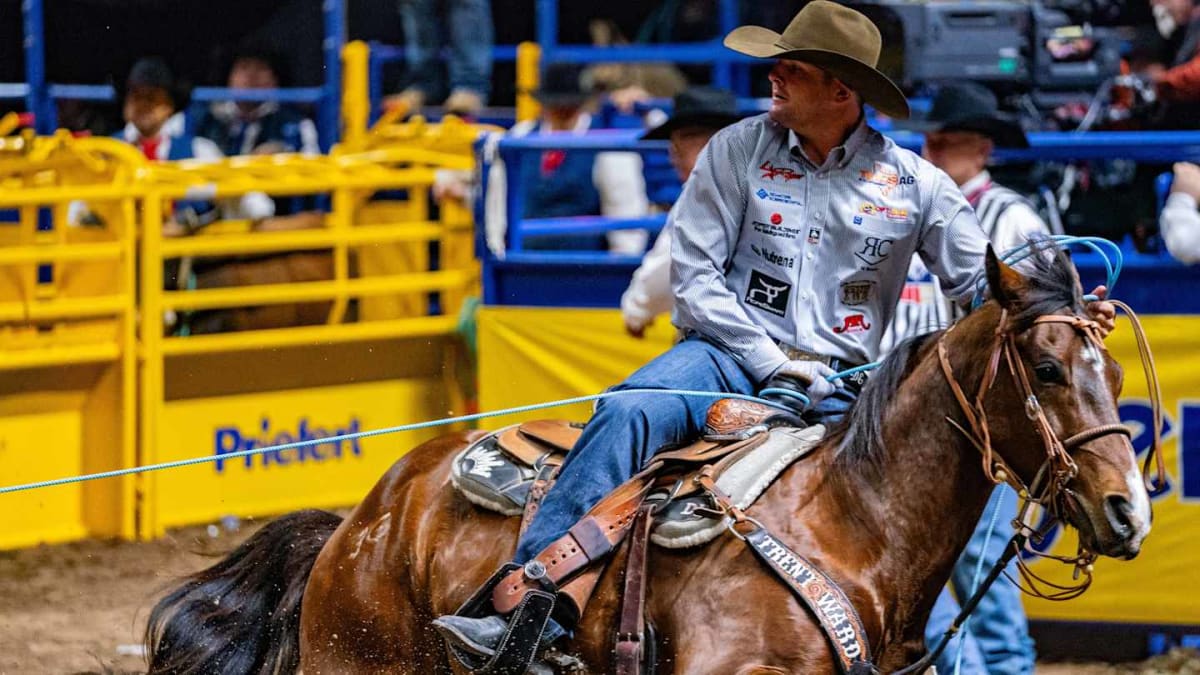 Two rodeo cowboys performing team roping at Rodeo Austin during record-breaking run