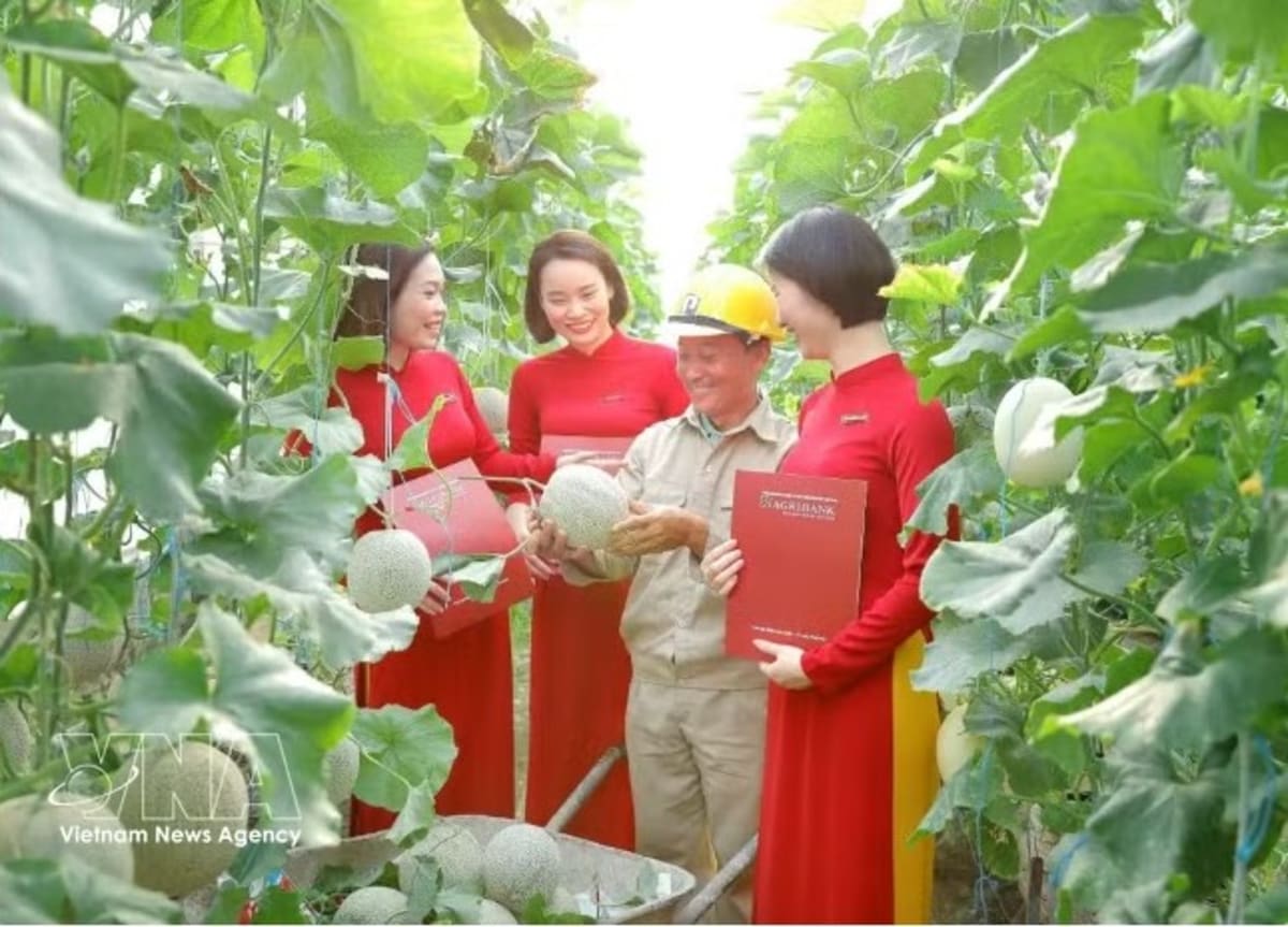 Vietnam Green Credit Surges 20% Yearly Since 2017