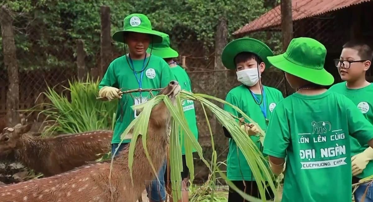 Vietnam Park Turns Wildlife Rescue into Conservation Tourism - Image 4