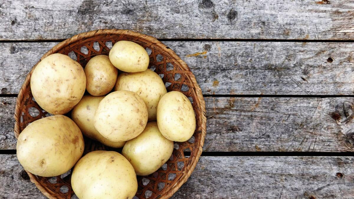 Irish Farmers Get Free Help Replanting Storm-Hit Forests - Image 4