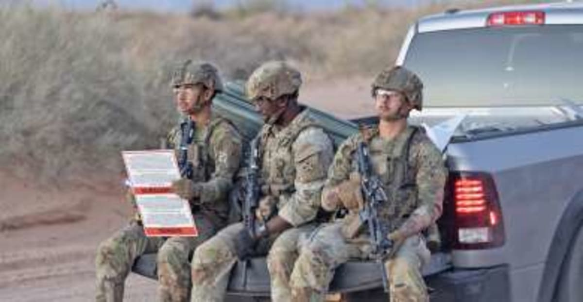 New Mexico Builds 155K Sq Ft Greenhouse to Replant Forests - Image 4