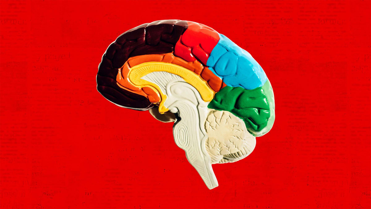 8-Year Study: Mental Activity Cuts Alzheimer's Risk 38% - Image 2