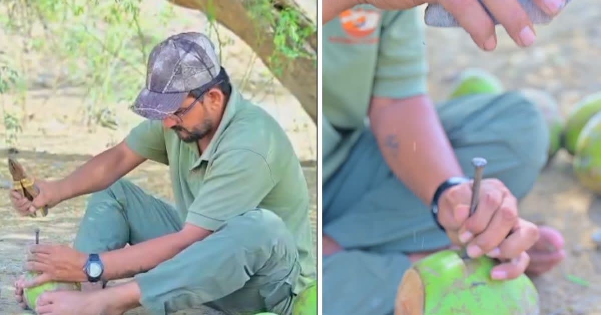 India Team Shares How Rescued Pets Changed Their Lives - Image 3